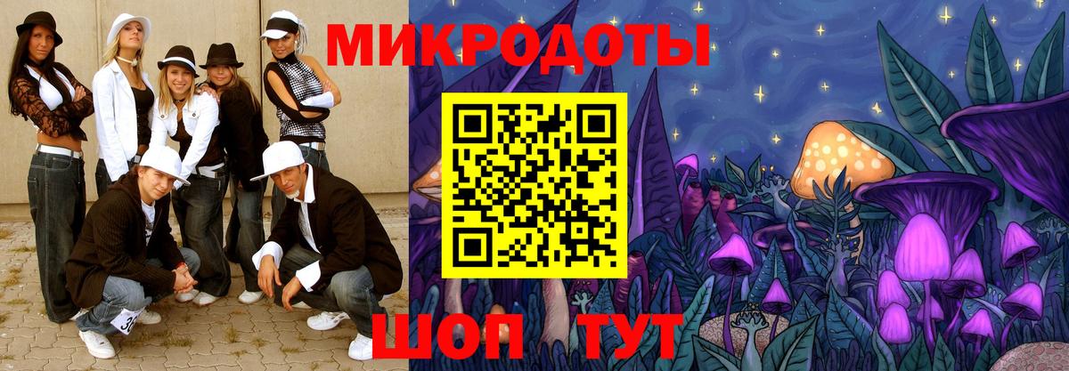 Псилоцибиновые грибы Psilocybe Лянтор